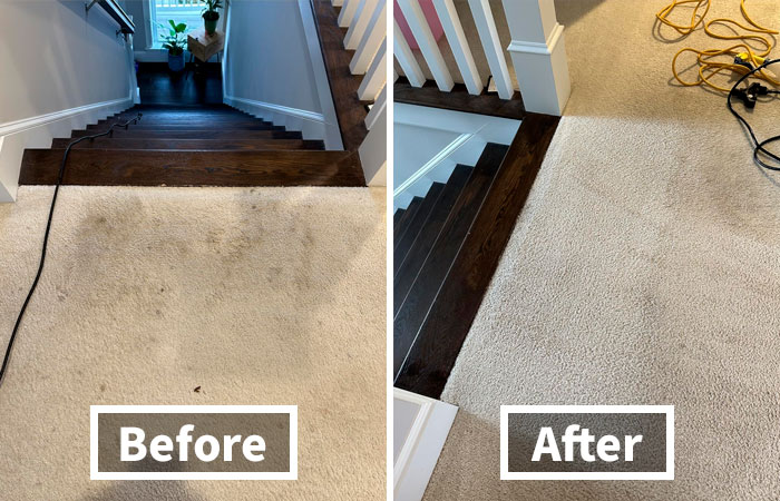 Get Rid Of Carpet Stains