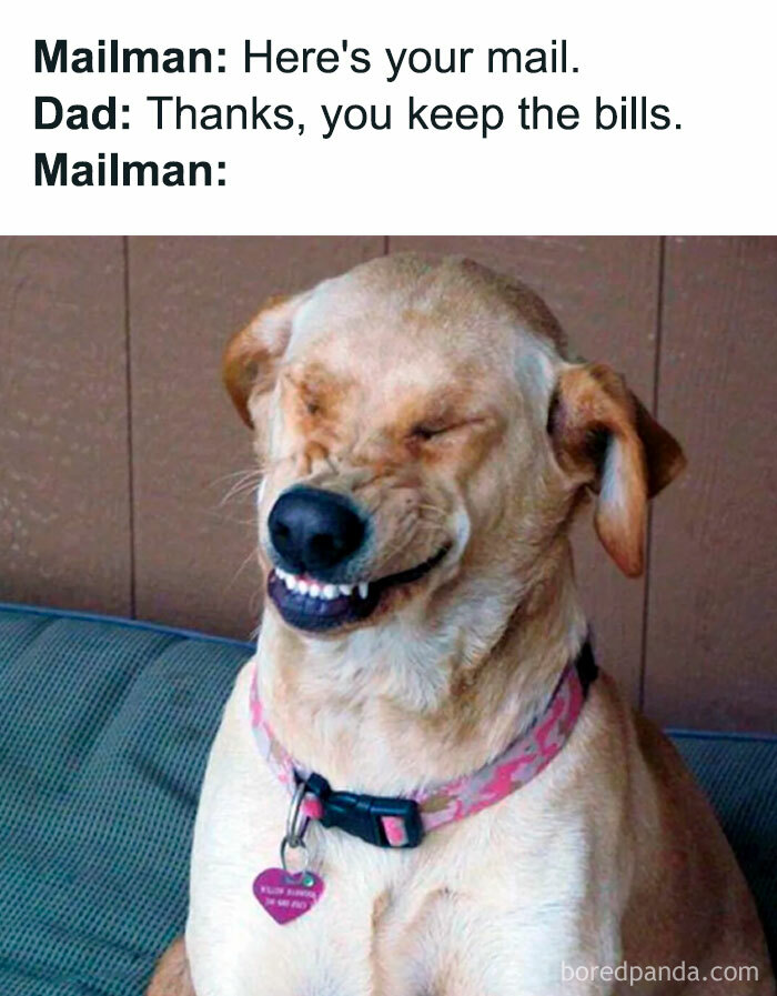 A Dad meme featuring a humorous exchange between a mailman and a dad. The text reads, "Mailman: Here's your mail. Dad: Thanks, you keep the bills. Mailman:" Below the text is an image of a dog with a funny, awkward smile, eyes closed and teeth showing, as if trying to force a laugh or hide discomfort. The meme humorously captures the dad's typical attempt at a corny joke and the mailman's reaction, likened to the dog's uncomfortable smile, emphasizing the awkwardness of the moment.