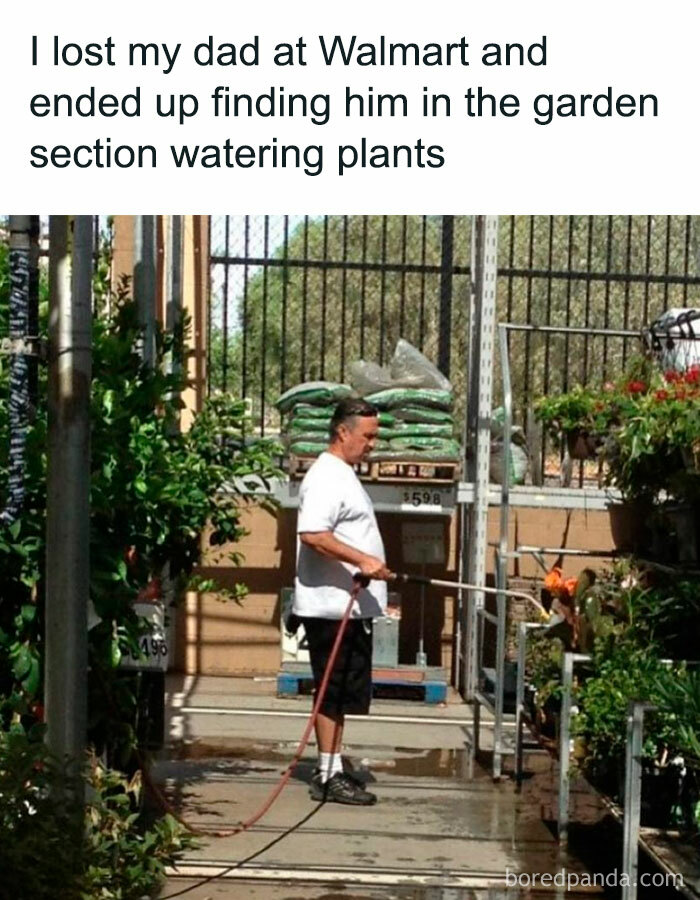 A Dad meme featuring a humorous situation where the text reads, "I lost my dad at Walmart and ended up finding him in the garden section watering plants." Below the text is an image of a dad in the garden section of a Walmart store, casually watering plants with a hose, as if he works there. The meme humorously captures the classic dad behavior of getting sidetracked by a task that seems like it needs doing, even in a public place like a store.