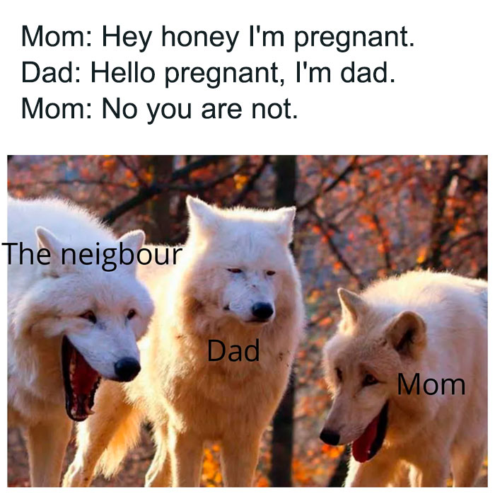 A Dad meme featuring a humorous conversation between a mom and dad, where the mom says, "Hey honey, I'm pregnant." The dad replies with the classic dad joke, "Hello pregnant, I'm dad." The mom counters, "No you are not." Below the text, there is an image of three wolves. The wolf labeled "Dad" has a neutral expression, the wolf labeled "Mom" is looking at Dad, and the wolf labeled "The neighbor" is laughing, suggesting the neighbor's amusement at the situation.