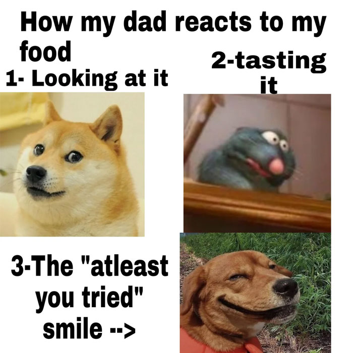 A Dad meme depicting the stages of a dad's reaction to his child's cooking. The top text reads, "How my dad reacts to my food." The meme is divided into three parts: "Looking at it" shows an image of a Doge meme with a skeptical expression. "Tasting it" features a puppet character from Sesame Street with a surprised, wide-eyed look. "The 'at least you tried' smile" has a photo of a dog with an awkward, forced grin. The meme humorously illustrates the mixed feelings and reactions a dad might have when tasting food made by his child, ranging from concern to reluctant approval.