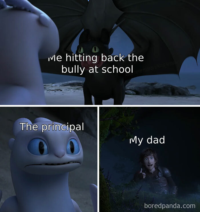 A Dad meme using characters from the "How to Train Your Dragon" animated series to depict different reactions to a child defending themselves. The top image shows a fierce-looking dragon labeled "Me hitting back the bully at school." Below are two images: on the left, a surprised-looking white dragon labeled "The principal," and on the right, a smiling human character giving a thumbs up, labeled "My dad." The meme humorously captures the contrasting reactions of authority figures and the supportive attitude of a dad when his child stands up for themselves.