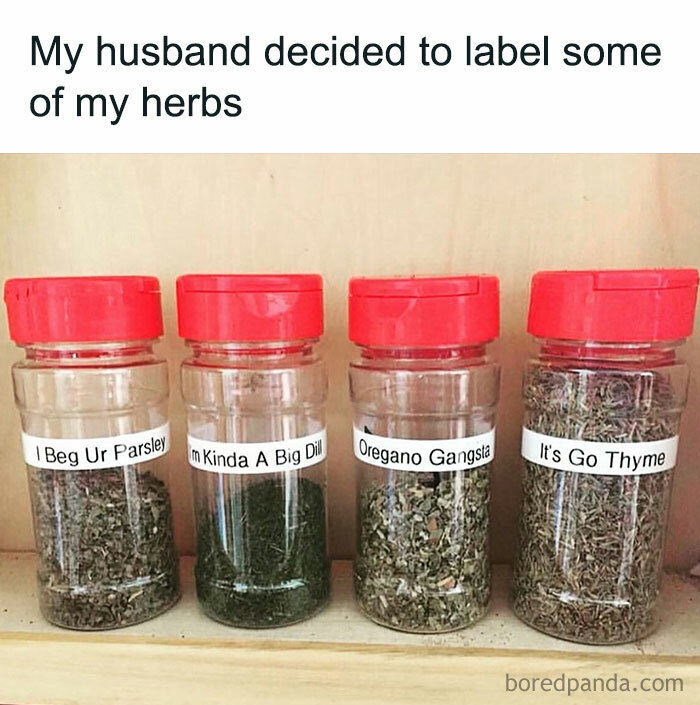 A Dad meme showcasing a husband's playful sense of humor. The text reads, "My husband decided to label some of my herbs." Below, there is an image of four spice jars with red caps, each labeled with puns: "I Beg Ur Parsley," "I'm Kinda A Big Dill," "Oregano Gangsta," and "It's Go Thyme." The meme humorously captures the dad-like tendency to make puns or jokes, even when doing simple household tasks, showing a creative and lighthearted approach to organizing kitchen herbs.