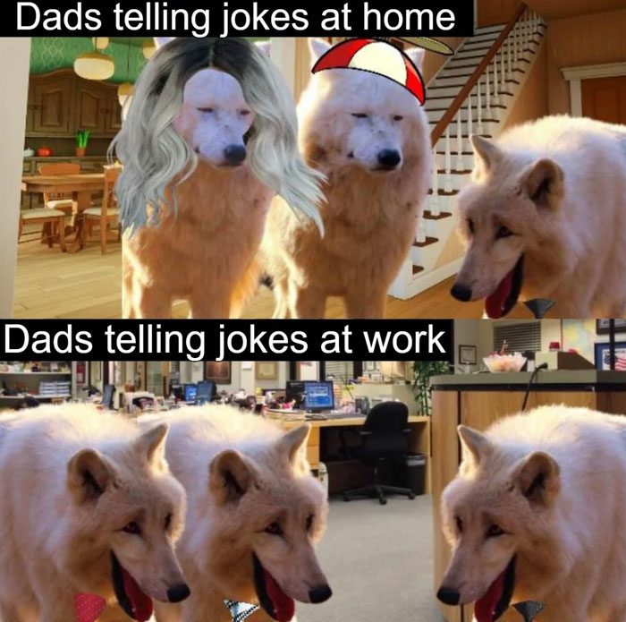 A Dad meme comparing the difference in how dads tell jokes at home versus at work. The top image shows three wolves in a house setting; one wolf is wearing a blonde wig, another has a child's hat, while the third wolf looks amused, labeled "Dads telling jokes at home." The bottom image shows the same three wolves in an office environment, with all of them looking cheerful, labeled "Dads telling jokes at work." The meme humorously contrasts the playful, sometimes awkward humor dads use with their family versus their more socially polished humor at the workplace.