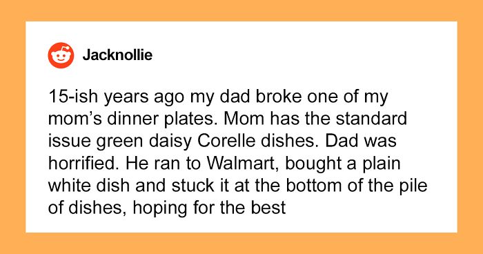 Woman Is Blamed For Breaking A Dinner Plate, Spends Years Finding Hilarious Replacements