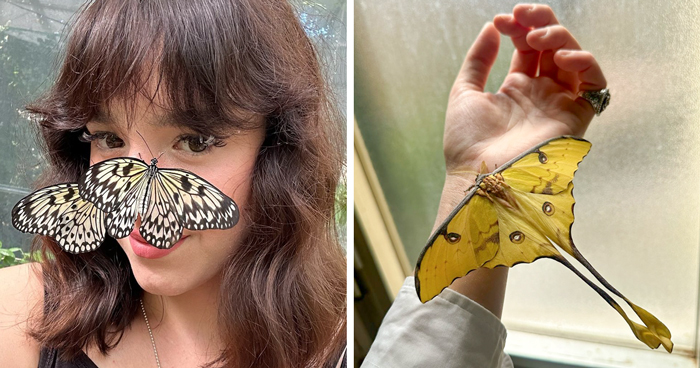 This Woman Breeds And Cares For Some Of The Most Beautiful Butterflies Worldwide (30 Pics)