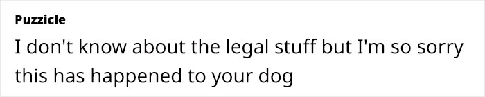 Dog Sitter’s Relaxed Attitude Leads To Pup Losing Eye And Leg, Owner Wants To Take Her To Court