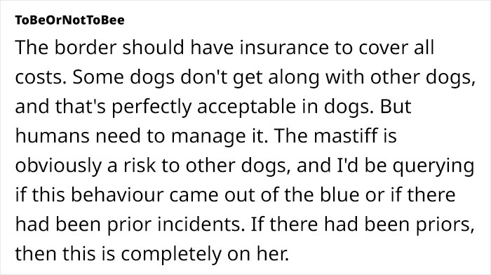 Dog Sitter’s Relaxed Attitude Leads To Pup Losing Eye And Leg, Owner Wants To Take Her To Court