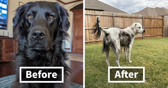 Buster’s Black-To-White Glow-Up Is The Heartwarming Story You Need Today