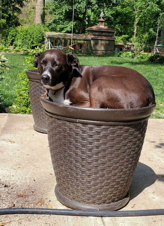 If I Fit, I Sit