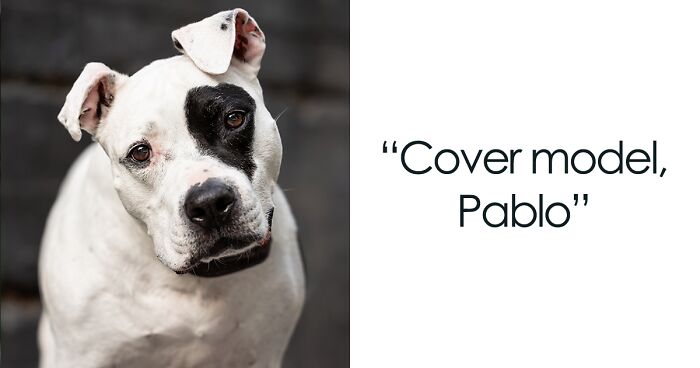 I Photographed 13 Dogs And Created A Calendar To Raise Money For High-Risk Homeless Dogs