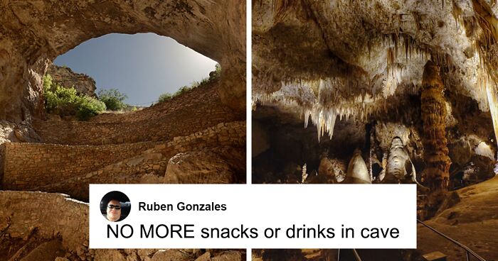 A Dropped Bag Of Cheetos Introduce Invasive Species To Carlsbad Caverns