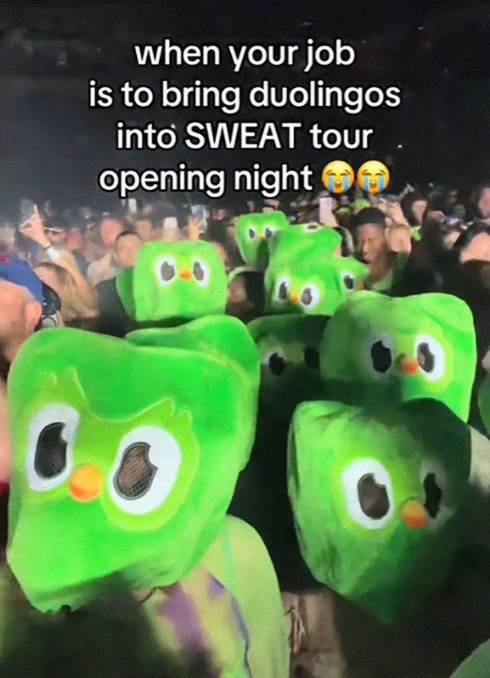 “Marketing Team Deserves A Raise”: Duolingo Attends Charli XCX And Troye Sivan’s Sweat Tour