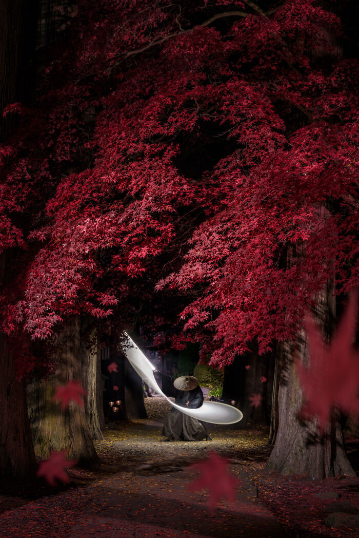 Majestic red trees overhang a forest path with a figure beneath, showcasing photography's future.