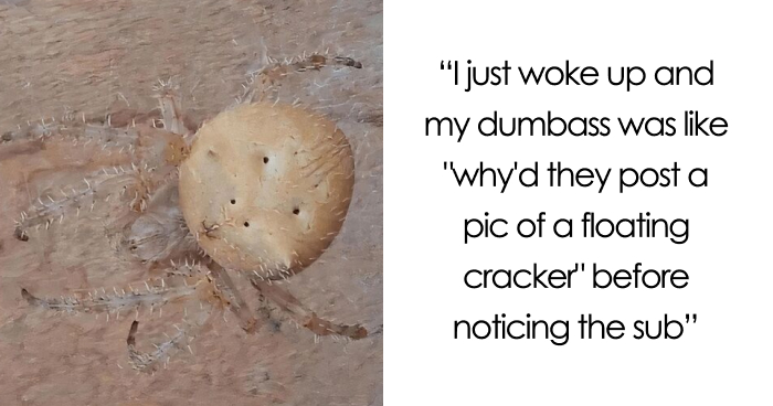 19 Forbidden Snacks That Make Your Eyes Say Yes, But The Stomach Says No