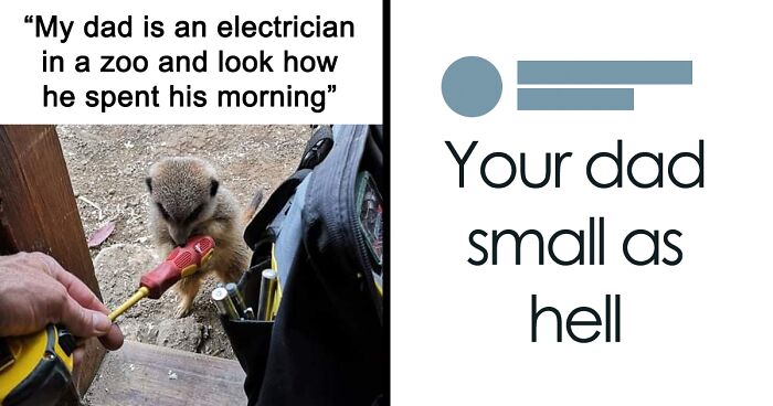 60 Adorable And Funny Animal Memes You May Find Oddly Relatable