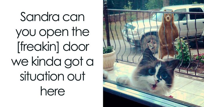 50 Funny And Awkward Animal Posts That Might Make Your Day Much Better