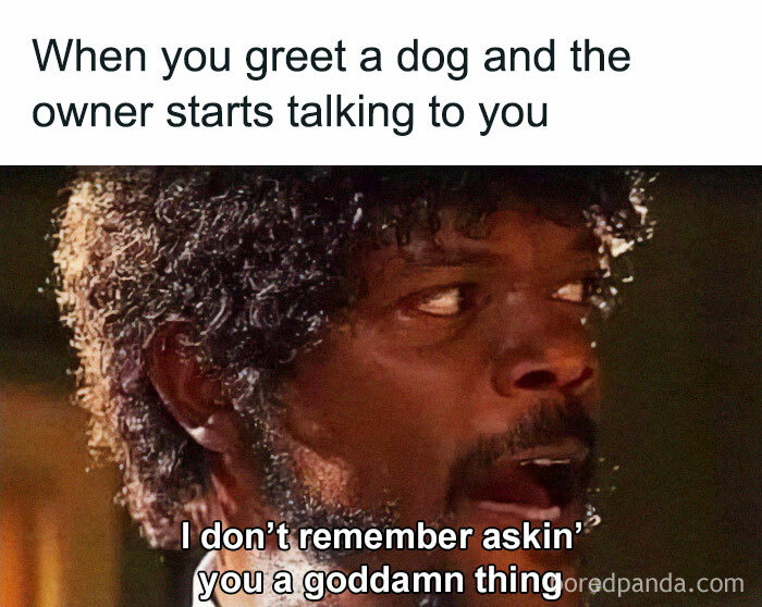 Funny-Dog-Memes-Dogmemesofinsta