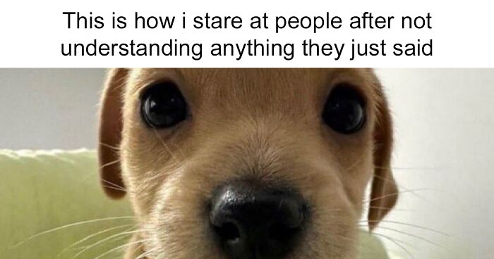 47 Memes About Life That Many Can Relate To