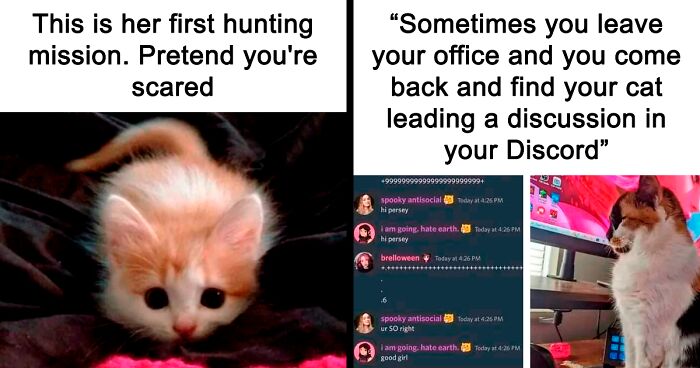 80 Of The Best Posts From The “Wholesome Memes” Twitter Account (New Pics)