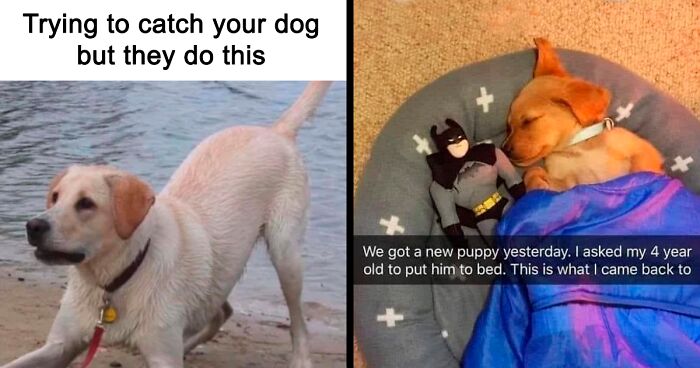 80 Times This Page Shared Incredibly Wholesome Memes (New Pics)