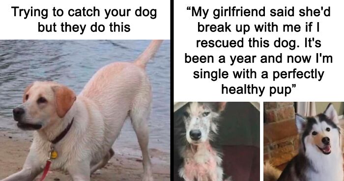 80 Wholesome Memes To Put A Smile On Your Face (New Pics)