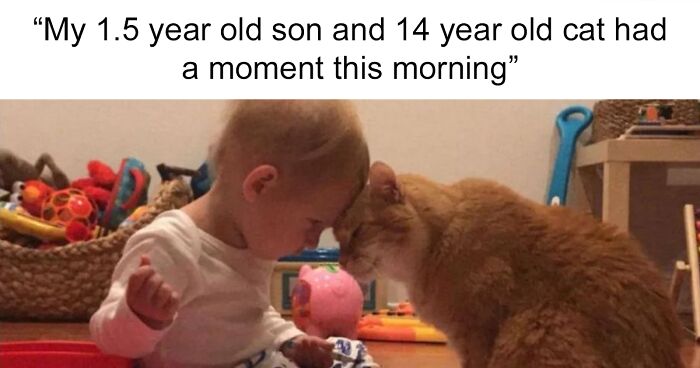 80 Wholesome Memes That Might Turn Your Frown Upside Down (New Pics)