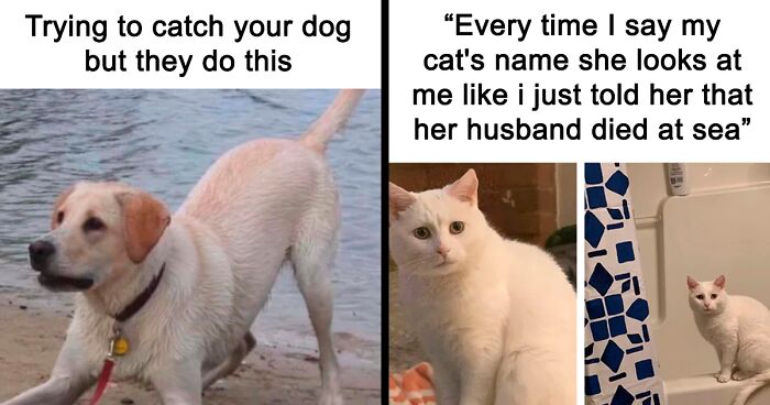 80 Heartwarmingly Wholesome Memes That You Might Appreciate (New Pics)