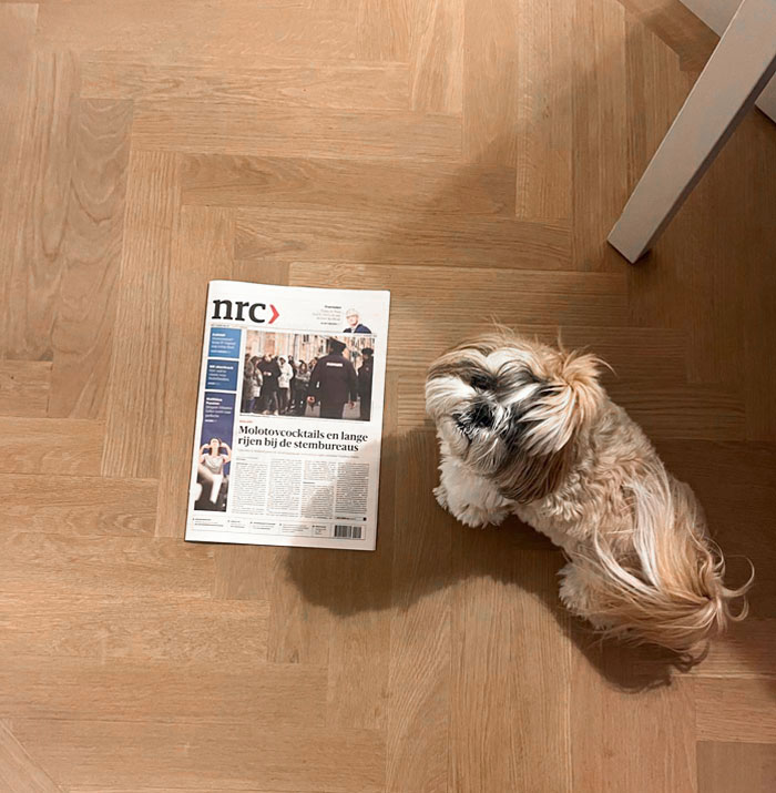 When My Parents Are Dog-Sitting, They Send Me A Daily "Proof Of Life" Photo With That Day's Newspaper In It