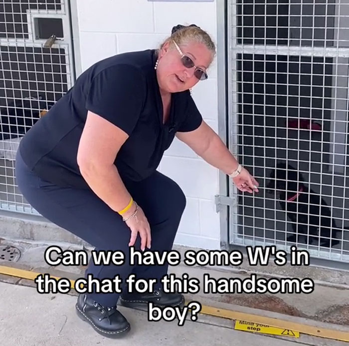 Western Australian Animal Shelter Gets Gen Z Person To Write Their Marketing, The Result Slays