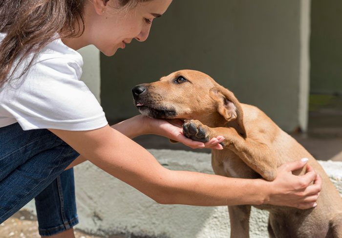 Western Australian Animal Shelter Gets Gen Z Person To Write Their Marketing, The Result Slays