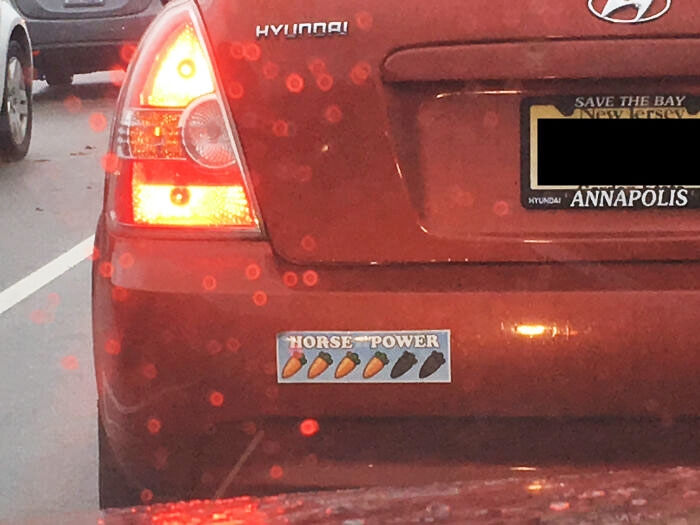 Just Saw My New Favorite Bumper Sticker On The Way To Work This Morning