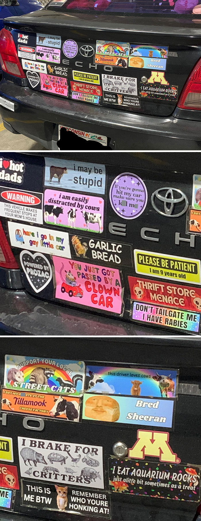 I Was Walking To Class And Saw These Bumper Stickers