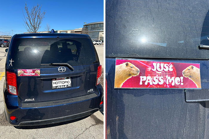 This Bumper Sticker