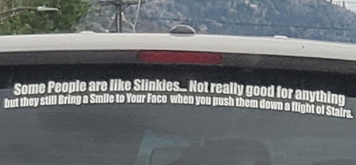 This Guy's Bumper Sticker