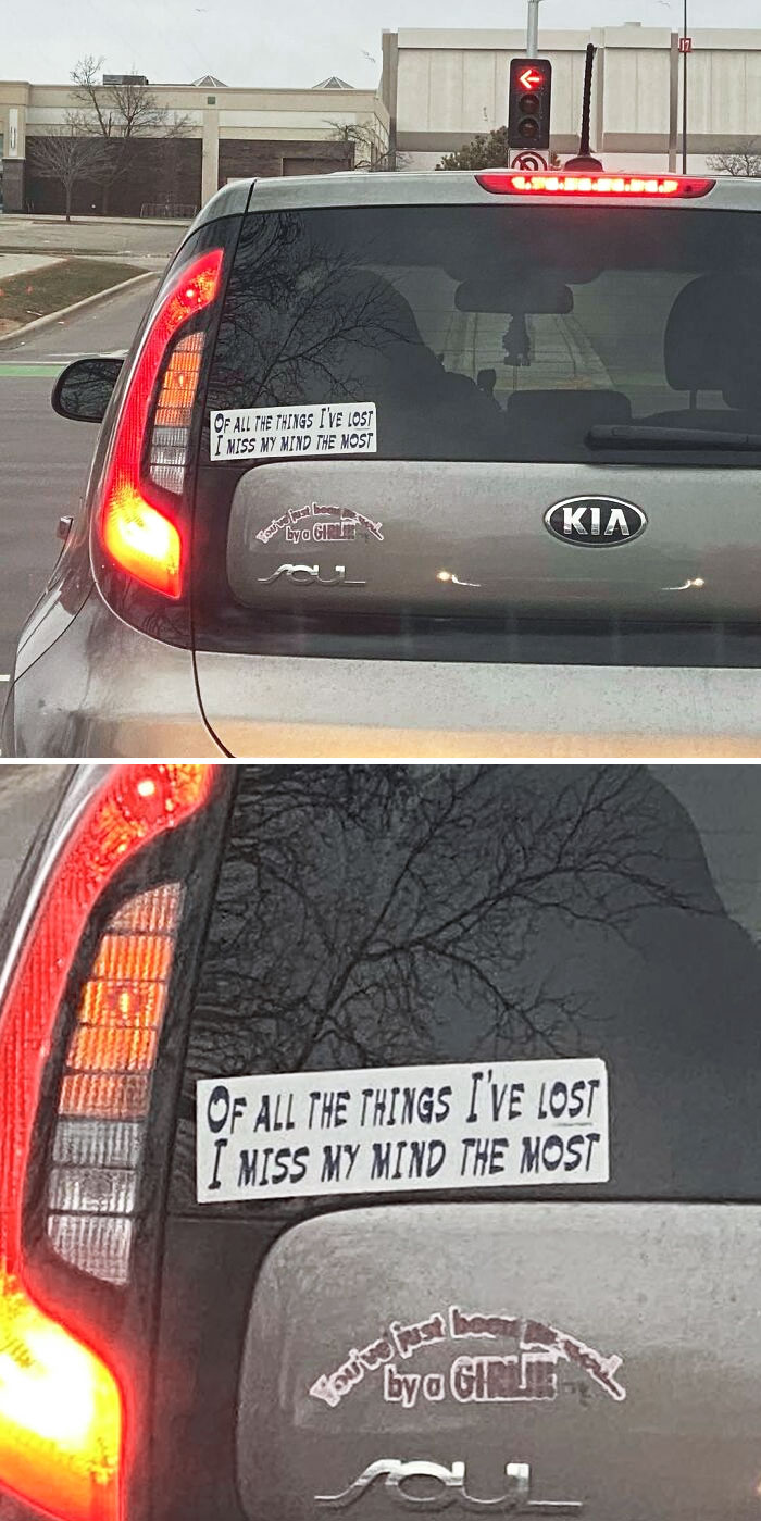 I Saw This Bumper Sticker On My Way Home From My Dentist Appointment This Morning