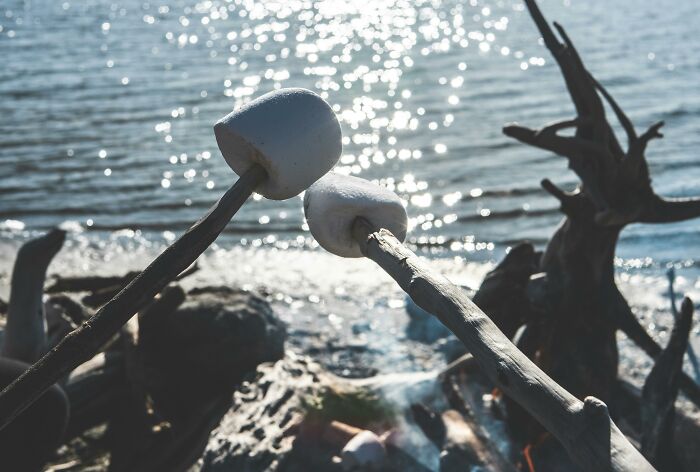 Roasting marshmallows by the water; a relaxing scene.