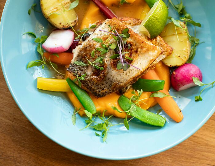 Colorful plate of grilled fish with mixed vegetables, highlighting a hilariously inaccurate attempt at gourmet presentation.