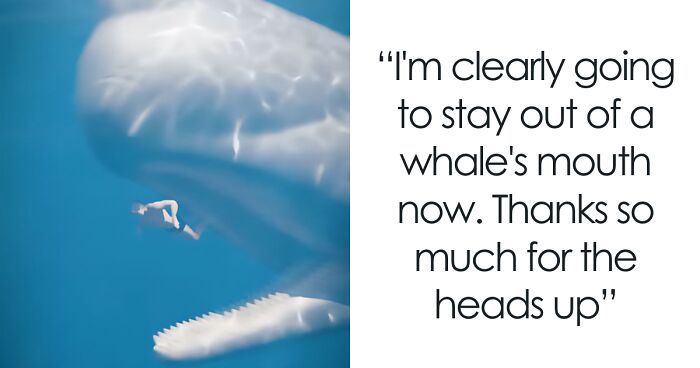 Chilling Simulation Shows What Would Happen To Your Body If Swallowed By A Whale