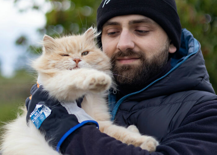 Husband Makes A Selfish Decision To Bring A Kitten Home Without Considering His Family's Feelings