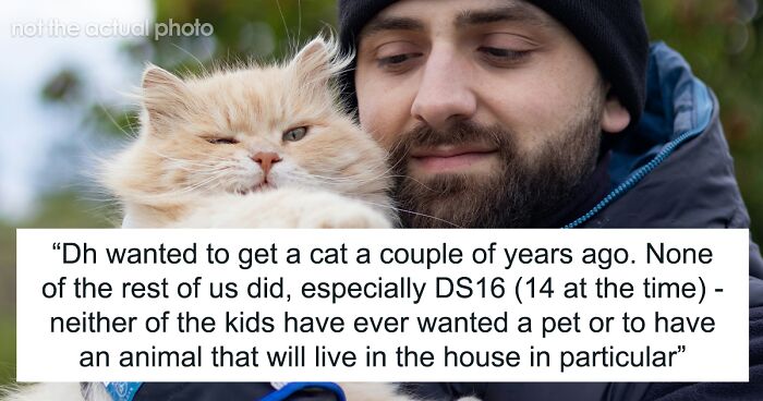 “It's Another Layer Of Worry”: Wife Is Livid Man Brings Home A Kitten That She And Kids Didn’t Want 