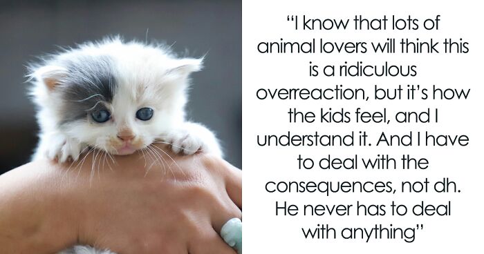 Man Decides To Take Kitty Home Despite Wife And Kids Not Wanting It, They Are Upset And Hurt