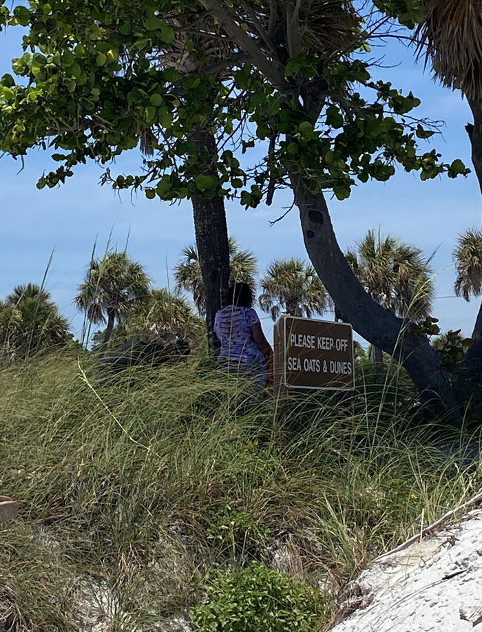 Tourists Completely Disrespect The Place They Save All Year To Visit