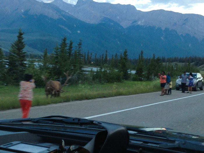 Tourists In Canadian National Parks