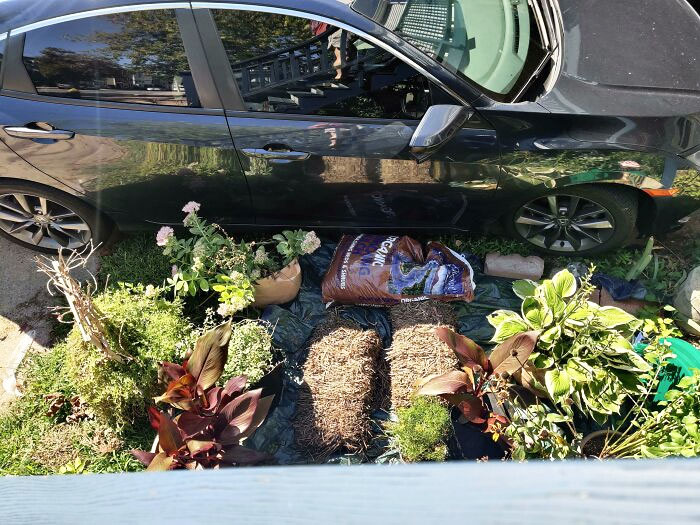 Mi vecina sigue aparcando su coche encima de mi jardín en vez de en su entrada porque le da pereza meter sus cubos de basura dentro.