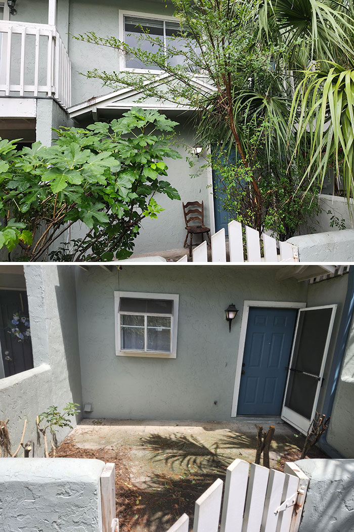 My Landlord Is An Idiot. Picture Of When I Trimmed It vs. What He Wanted