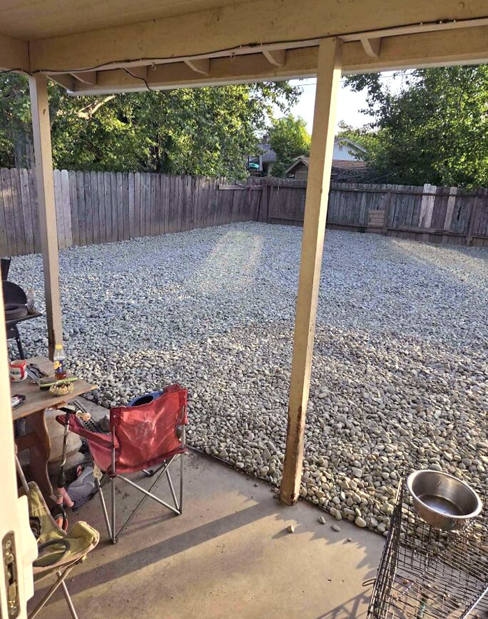 Landlord Wanted A "Low Maintenance Yard"