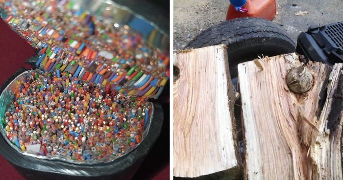 62 Times People Opened Something And Were Surprised By What Was Inside (New Pics)