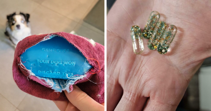 62 Times People Opened Up Things And Just Had To Share What They Found Inside (New Pics)