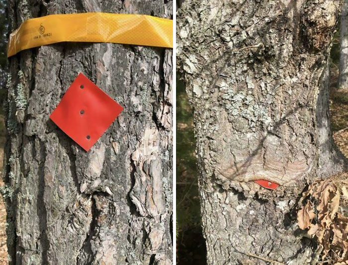 A New Trail Marker vs. One That’s More Than 20 Years Old